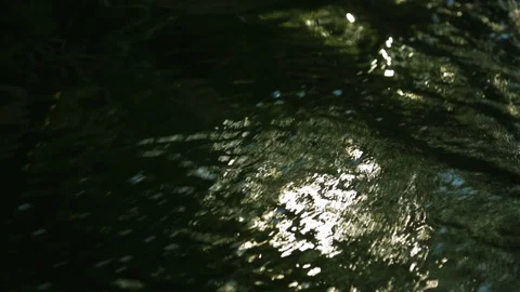 The sun reflection of dark green moving water Stock Footage 100347496