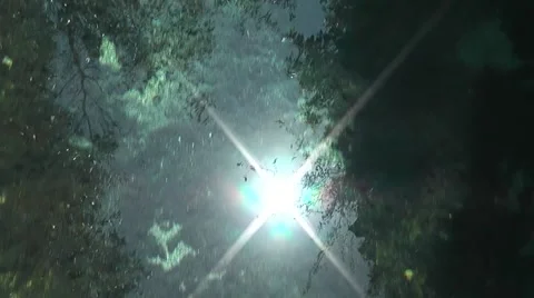 Sun reflection Stock-Footage 2409840