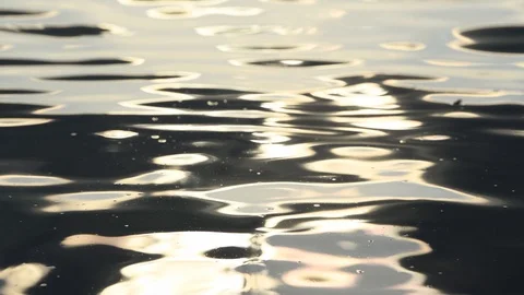 Sun reflection in fresh on summer day. Slow motion Stock Footage 94389305