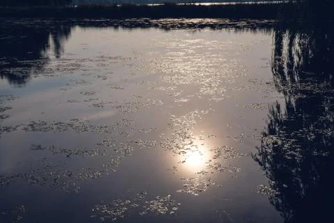 Sun reflection in lake Stock Photos
