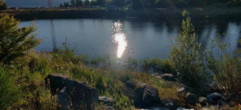 Sun reflection on the lake Stock Photos