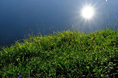 Sun Reflection over Lake with Vibrant Green Grass on the Shoreline Stock-Fotos