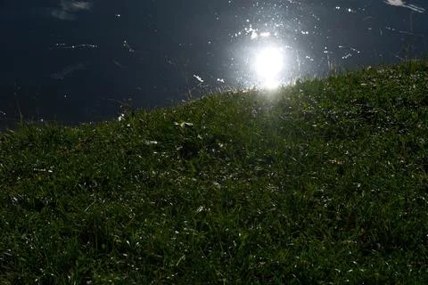 Sun Reflection over Lake with Vibrant Green Grass on the Shoreline Foto stock