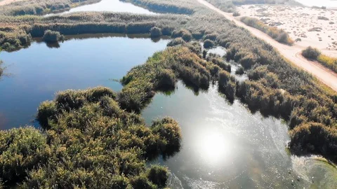 Sun Reflection Over Wetland Reserve Aerial View Stock Footage 129545302