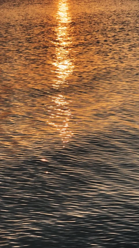 The sun reflection path glitters golden on sea of water with small waves. Ocean Stock Footage 309017020