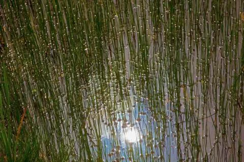 Sun reflection Foto stock