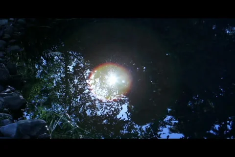 Sun reflection on pond Stock Footage 27478524