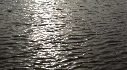 Sun reflection in the river Stock Footage 49274299