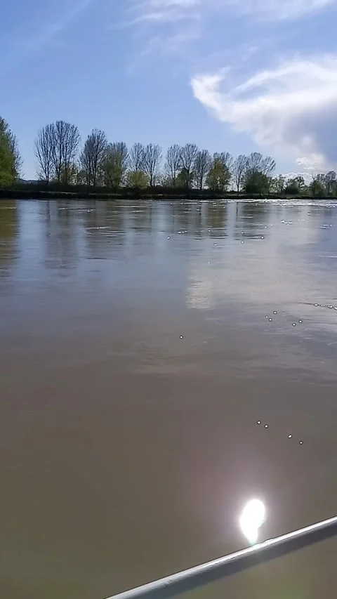 Sun reflection in the river Stock Footage 271368929