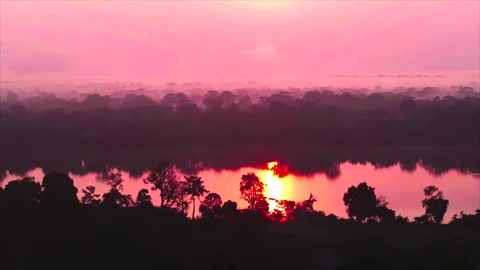 Sun reflection in river with forest foreground, Ouesso, Congo Stock Footage 332000037