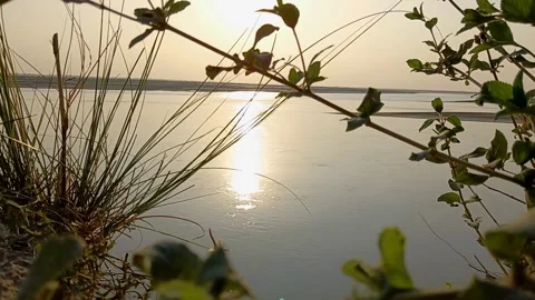 Sun Reflection On River With Green Foliage 库存影片 334908624