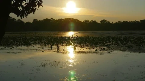 Sun reflection on river while 3 kids play Stock Footage 83145547