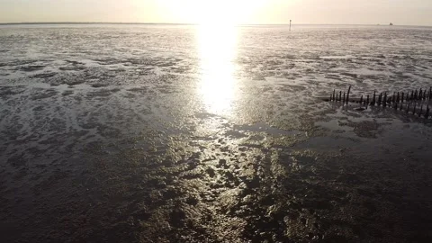 Sun reflection on the sea, ebb, flow, with the drone over the mudflats, aerial 库存影片 150063058