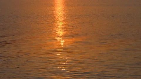 Sun reflection on the surface of the water. The sun is reflected on the water Stock Footage 204855426
