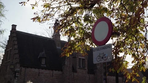 Sun reflection through fall tree and historic roof of old building in Bruges Stock Footage 329053554