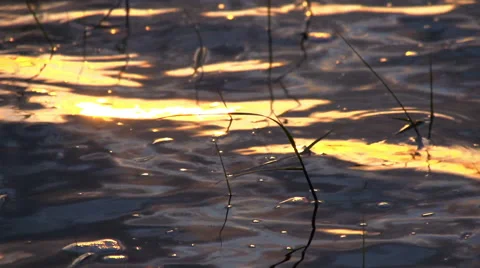 Sun reflection in the water Video stock 54896590
