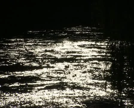 Sun reflection off water moody murray river 스톡 동영상 21456620