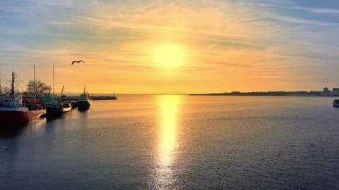 Sun reflection on water in a peaceful harbor Video stock 334316587
