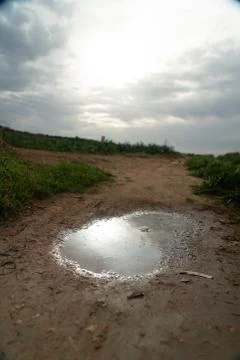 Sun reflection in water puddle Stock Photos