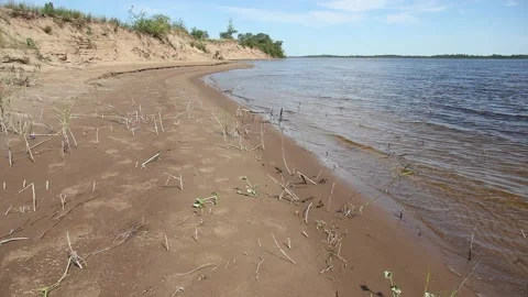 Sun reflection in water ripples on the beach. Car tire pollution on the beach. Video stock 170875054