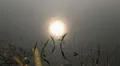 Sun reflection at water's edge in spring season HD Footage