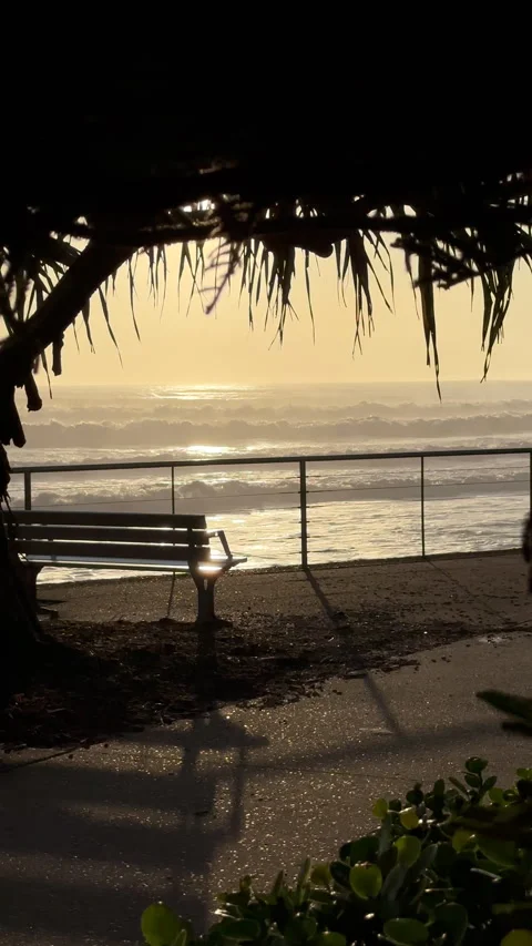Sun Reflection on Waves Framed By Pandanus Tree Vidéo 301662201