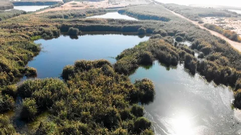 SUN REFLECTION ON WETLAND AREA 2K DRONE SHOT Stock Footage 129517400