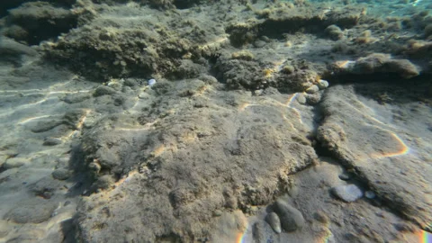 Sun reflections over surface 库存影片 324632060