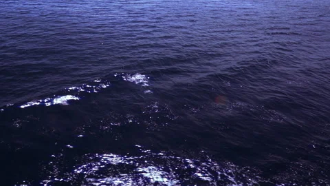 Sun reflections in the sea Vidéo 260419877