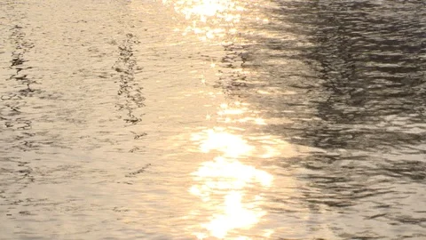 Sun reflections on water background. Static shot Stock Footage 109638047