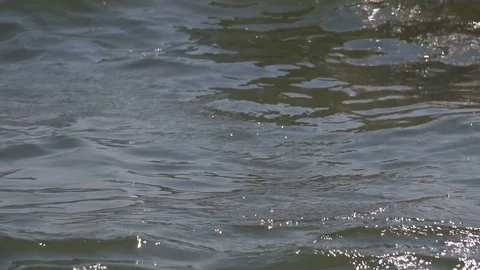 Sun Reflections on Water Surface 動画素材 79535345