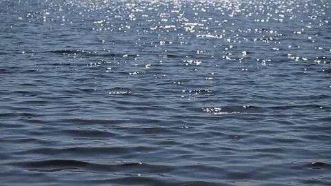 Sun reflections at the water surface Video stock 82748508