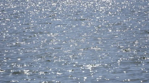 Sun reflections at the water surface Stock Footage 88989717