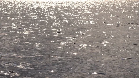 Sun Reflections at the Water Surface Видео 129496499