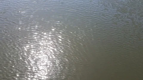 The sun reflects off the water on the river Thames, 4K Stock Footage 111489052