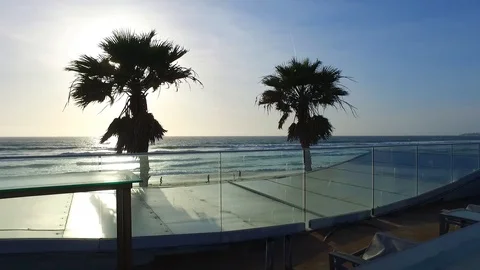 Sun Reveal Behind Palm Tree on Roof Top Stock Footage 85946745