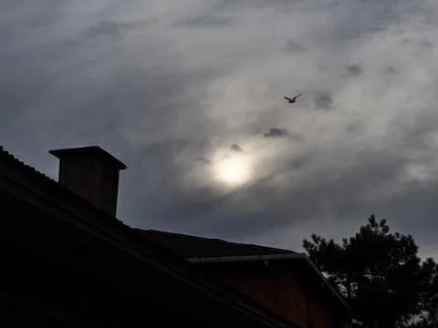 Sun in reverse light Stock Photos