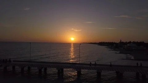 Sun rice Video stock 93988571