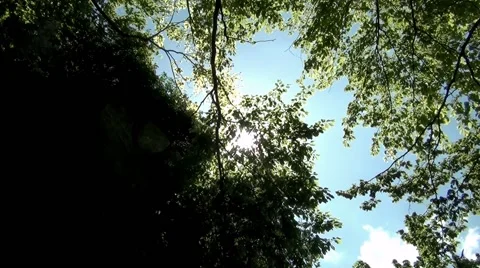 Sun on the ridge Vídeo Stock 62866939