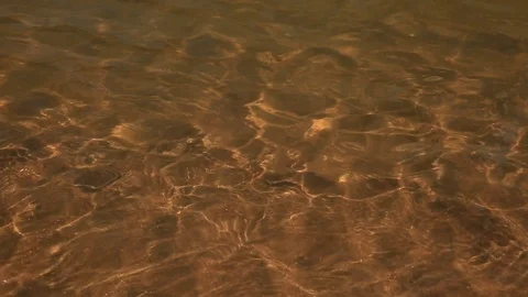 Sun Ripples Stock Footage 114262510