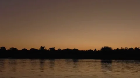 Sun rise amazon river Stock-Footage 83098039