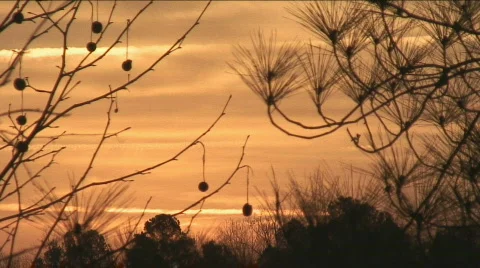 Sun Rise Stock Footage 350680