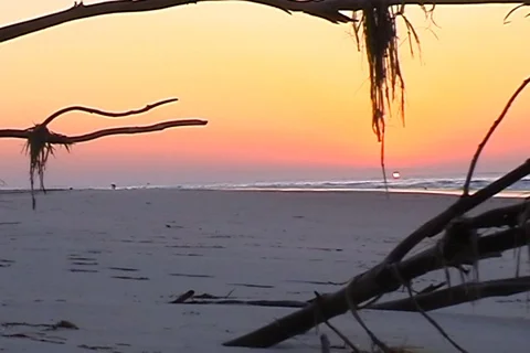 Sun rise Stock Footage 107066510