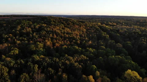 A sun rise over the forest Video stock 137679978