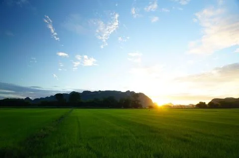 Sun rise Stock Photos