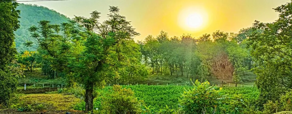 Sun Rise Stock Photos