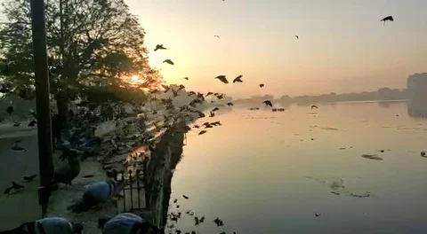 Sun rise View Stock Footage 124826816