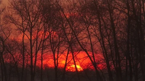 The sun rises 1 Stock Footage 49368083