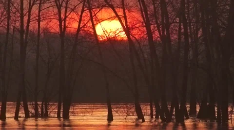 The sun rises 2 Stock Footage 49368086