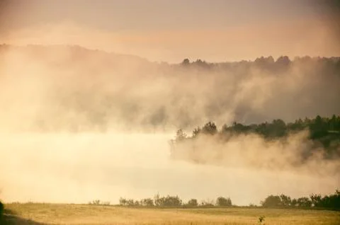 The sun rises and lights up the forest with a pond in the fog . Stock Photos